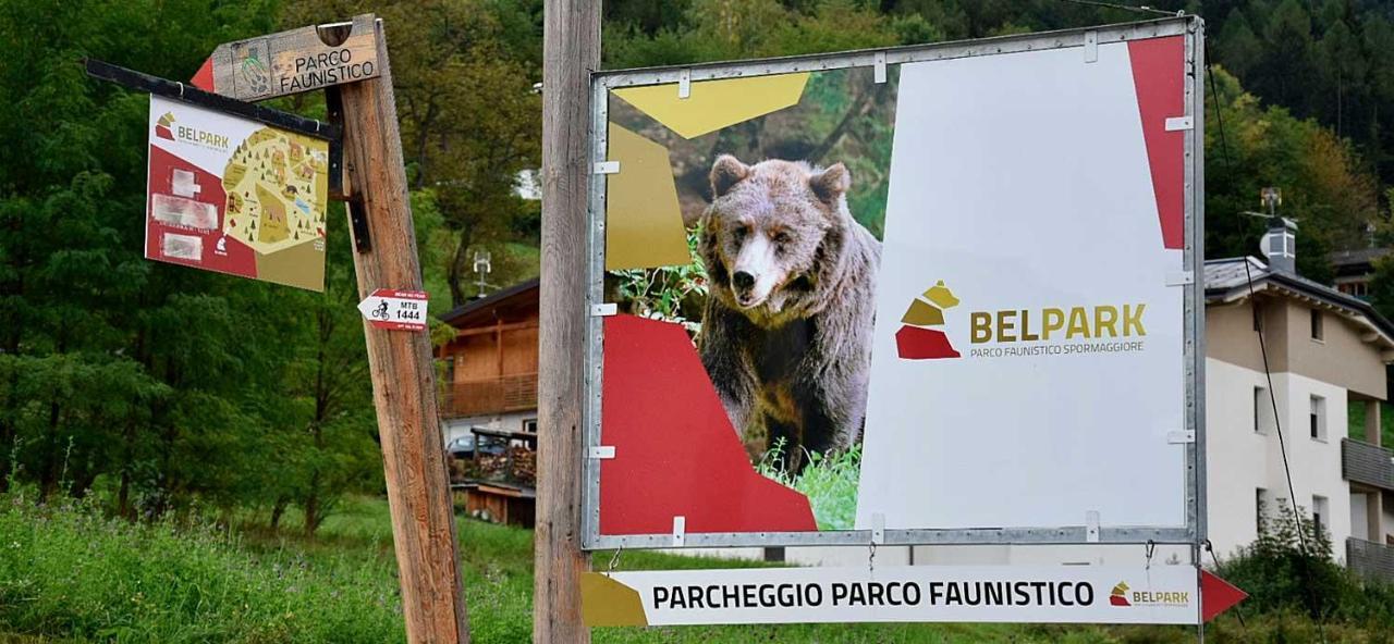 Appartamento Tulipano Andalo Zewnętrze zdjęcie
